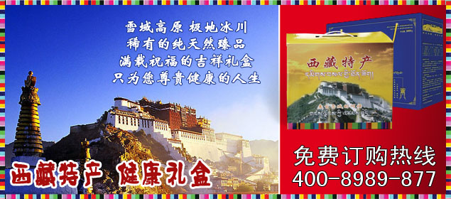 西藏特产大礼包