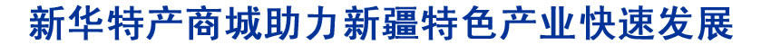 新华特产商城助力新疆特色产业快速发展