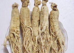 人参价格创下历史新高 紫鑫益盛两公司望获益