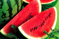 山东问题西瓜疑来自海南