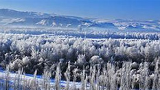 新疆喀什河現霧凇奇觀 霧氣蒸騰美如仙境