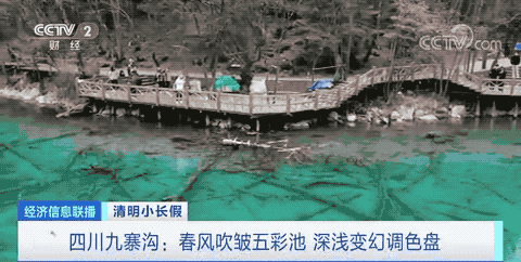 景区门口大排“长龙”！三星堆博物馆新手办基本卖空