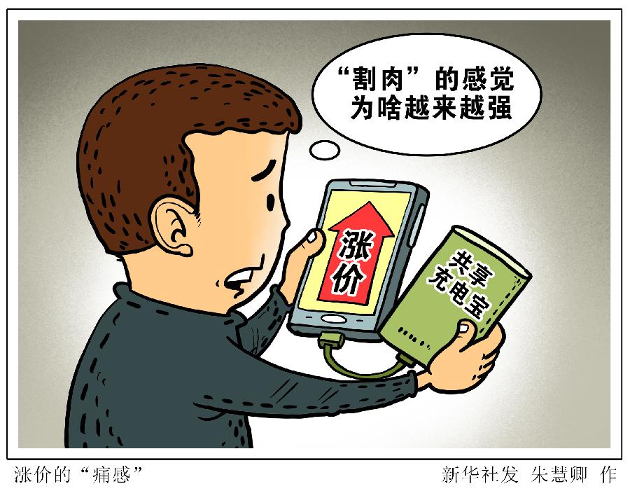 消费者“割肉”的感觉为啥越来越强？——三问共享充电宝涨价