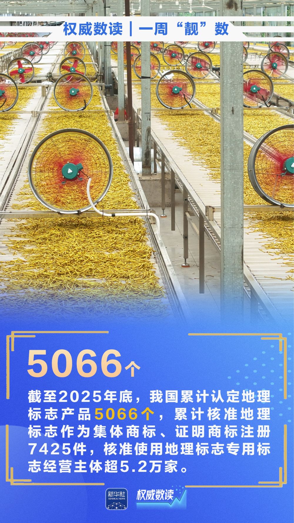 权威数读丨一周“靓”数-新华网