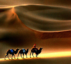 路漫漫其修远兮