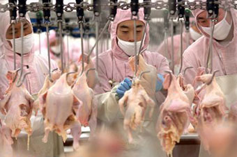 福喜核心供应商曝光:圣农发展仰赖洋快餐