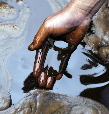 严惩餐桌上的"毒枭"