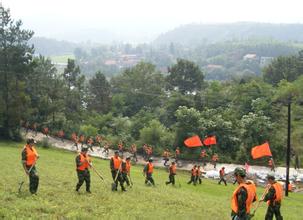 经济普查对政府部门、普查机构和人员有哪些要求？