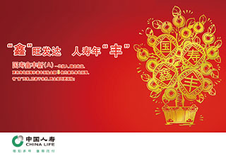 国寿&ldquo;喜庆祥和&rdquo;组合计划