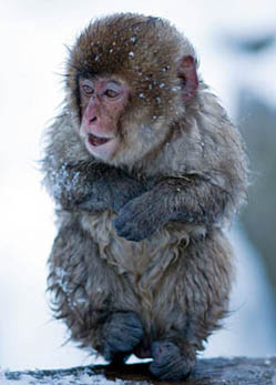 【产能过剩】寒冬难熬，企业何日盼得春光？