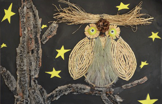 张艺轩《猫头鹰》