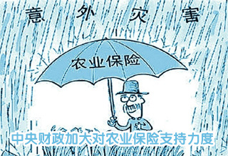 中央财政加大对农业保险支持力度