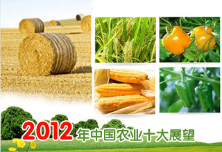 2012年中国农业十大展望