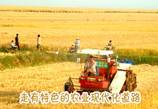 走有特色的农业现代化道路