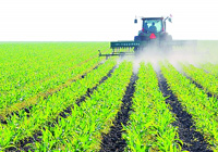 中央连发新政助推农业发展