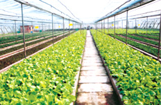 “三个覆盖”力推农村基础设施建设