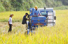 农村改革:24个试验区允许政策和体制突破