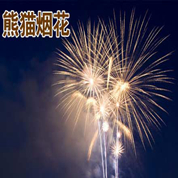 做烟花变身搞金控