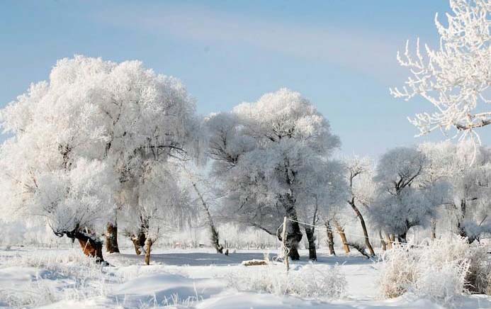 叶檀:地方债置换发行遇冷是好事