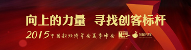 2015中国新经济年会夏季峰会