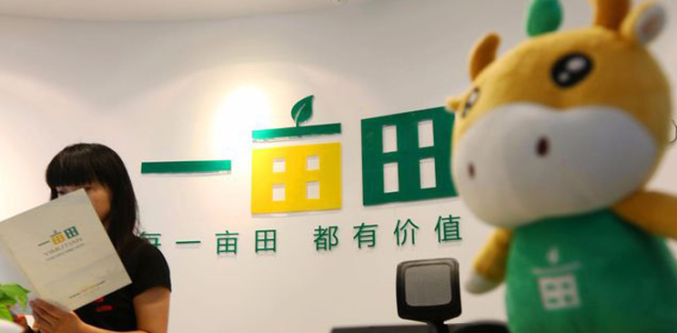 一亩田突然大量裁员 指责与疑惑并存