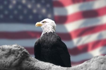 美国政商界看好中国经济