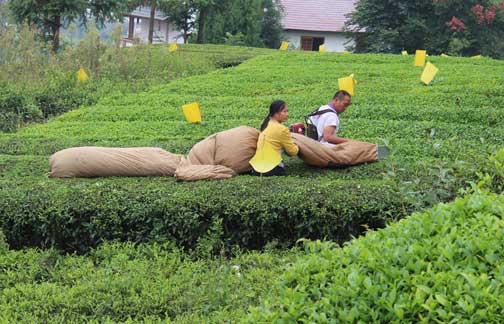 寻找三农服务支点&mdash;&mdash;中央媒体走进中国农业银行湖北分行