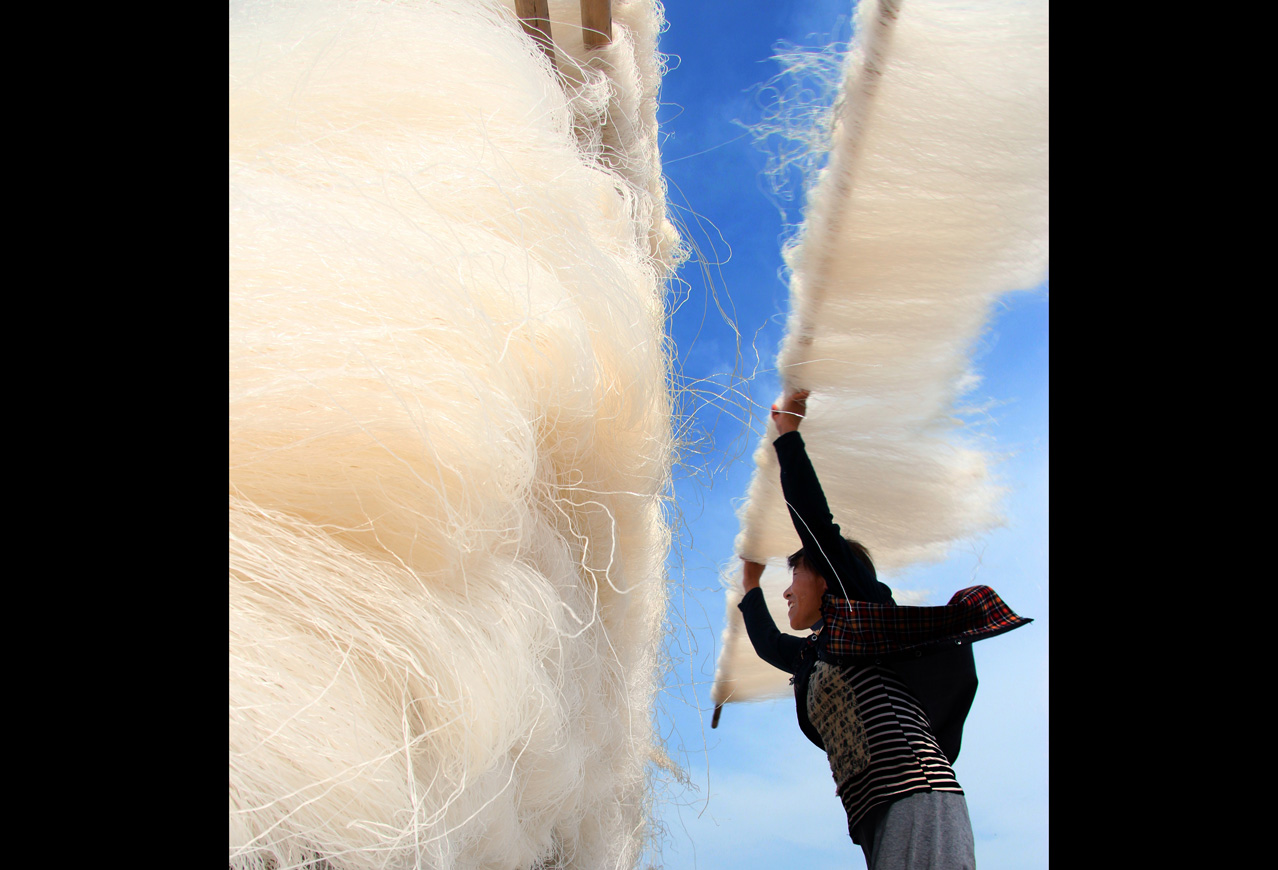 《银丝飞扬》 朱亚云/摄