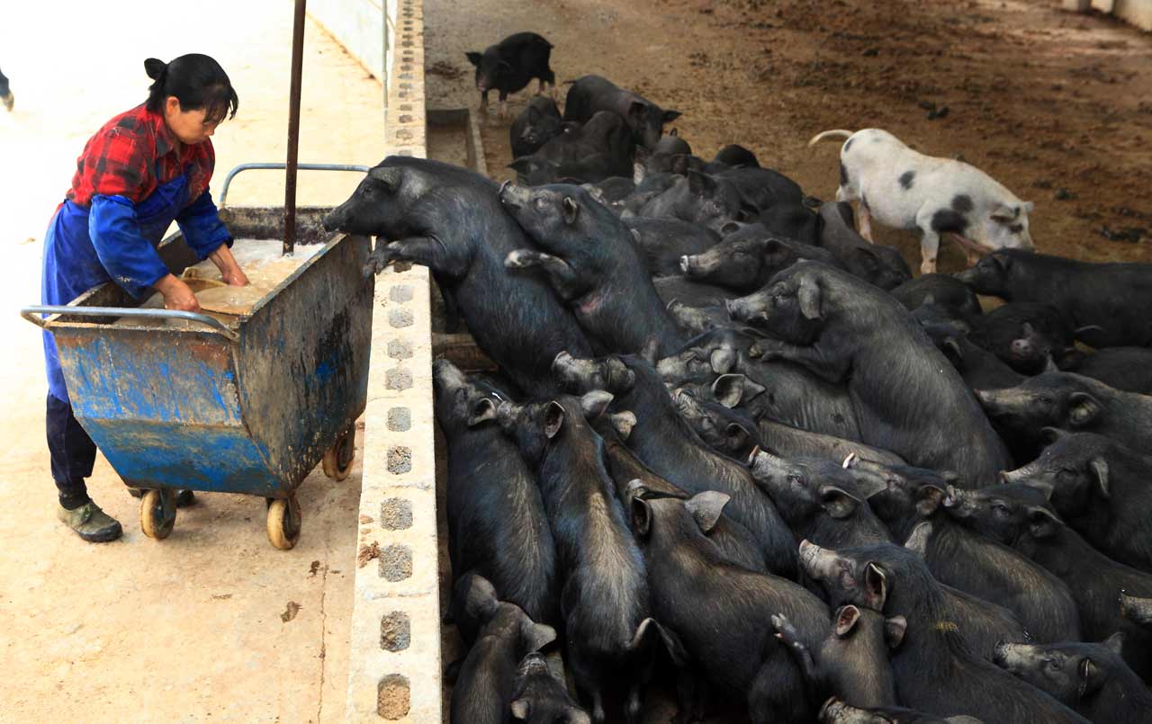 《迫不及待》 周恩革/摄。