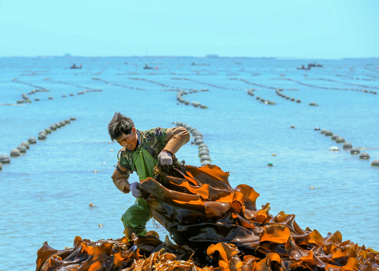《海底捞金》 刘念琳/摄