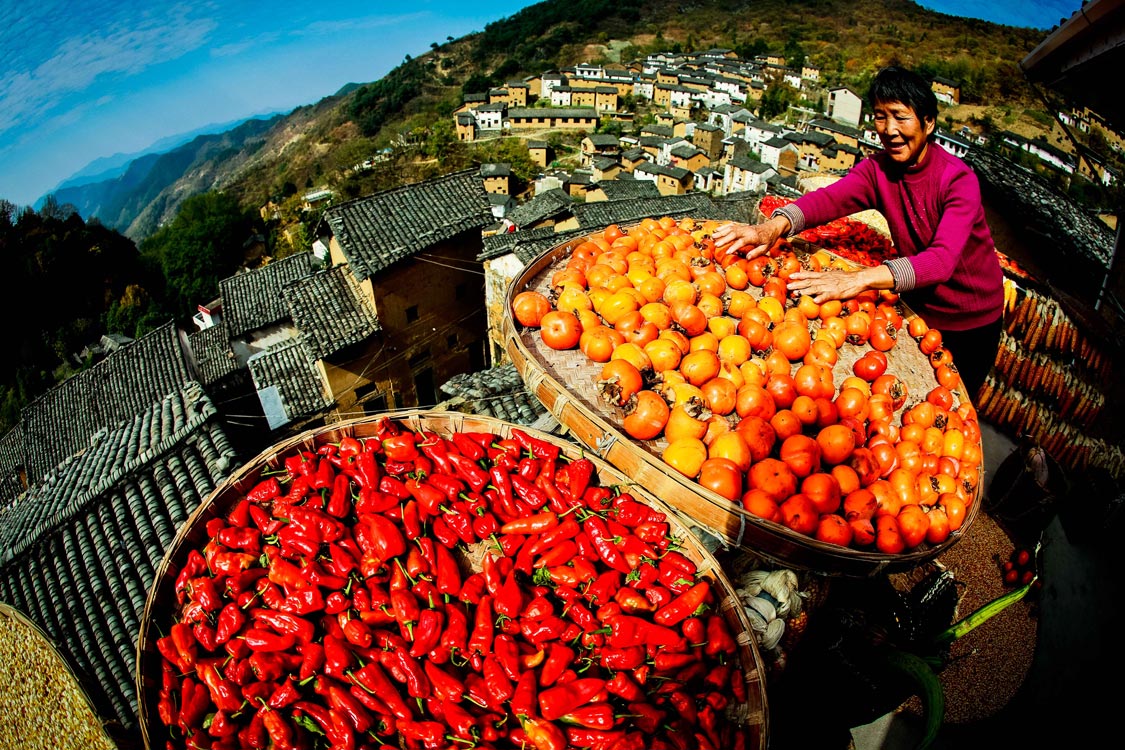 《古村晒秋》 王文/摄