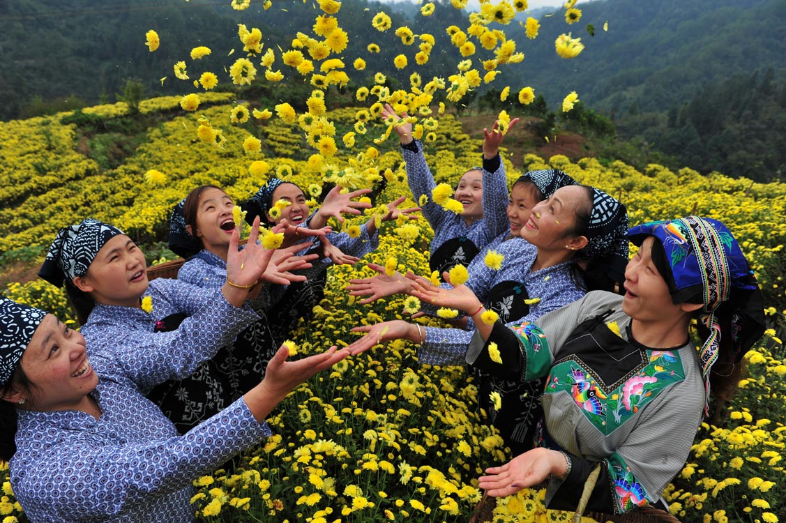 《花满人间》 向民航/摄