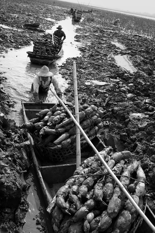 《满载而归》 宫传奇/摄