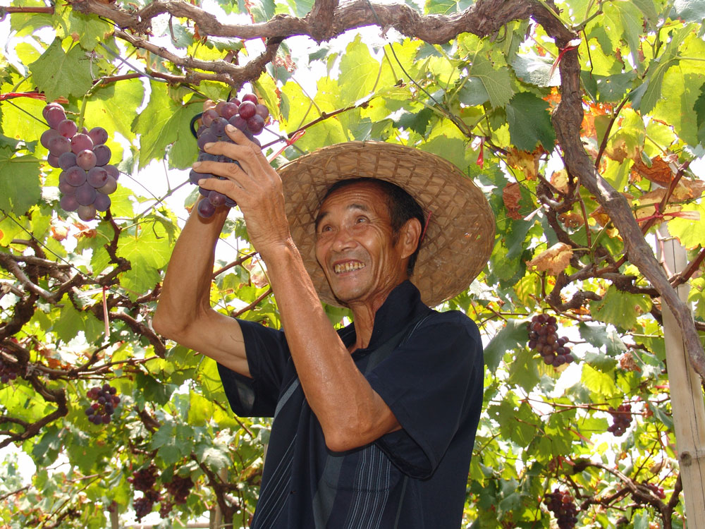 《甜在心里》 姜朝斌/摄