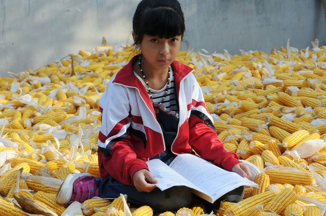 《金色童年》 张汝奎/摄