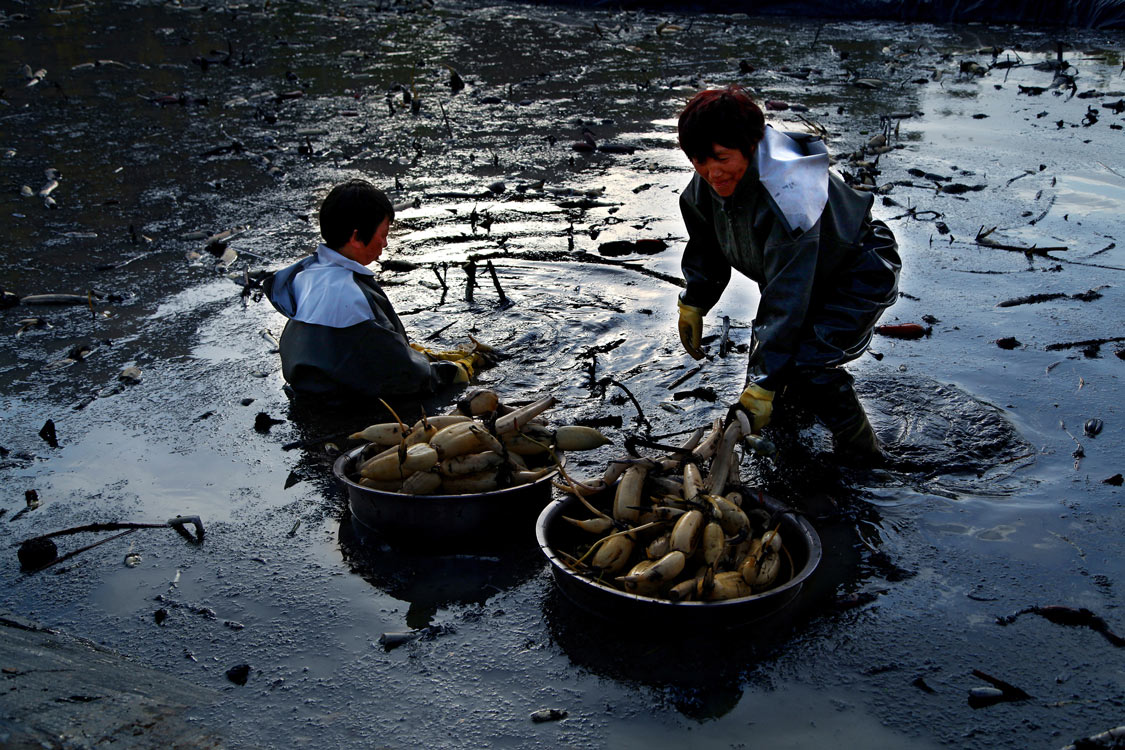 《劳动的身影》 冯承庆/摄