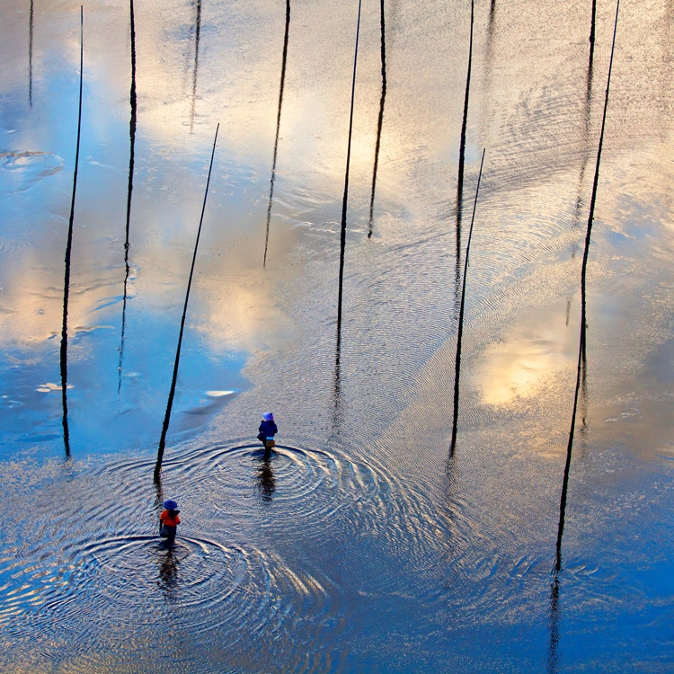 《晨捕》 林辉/摄