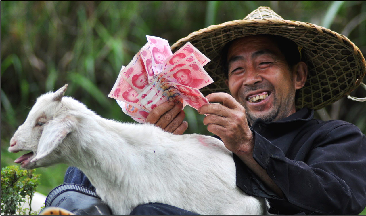 《发&ldquo;羊&rdquo;财了》 华威/摄