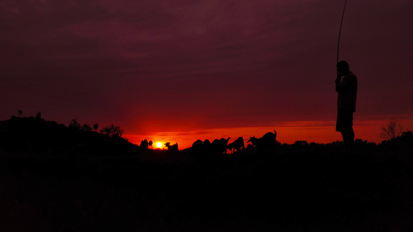 《牧羊人》 李茂山/摄