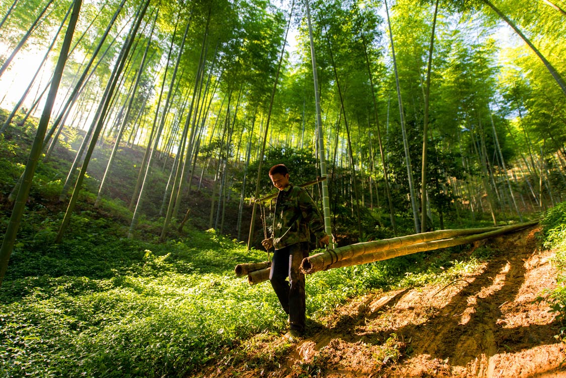 《收获季》 张爱娟/摄