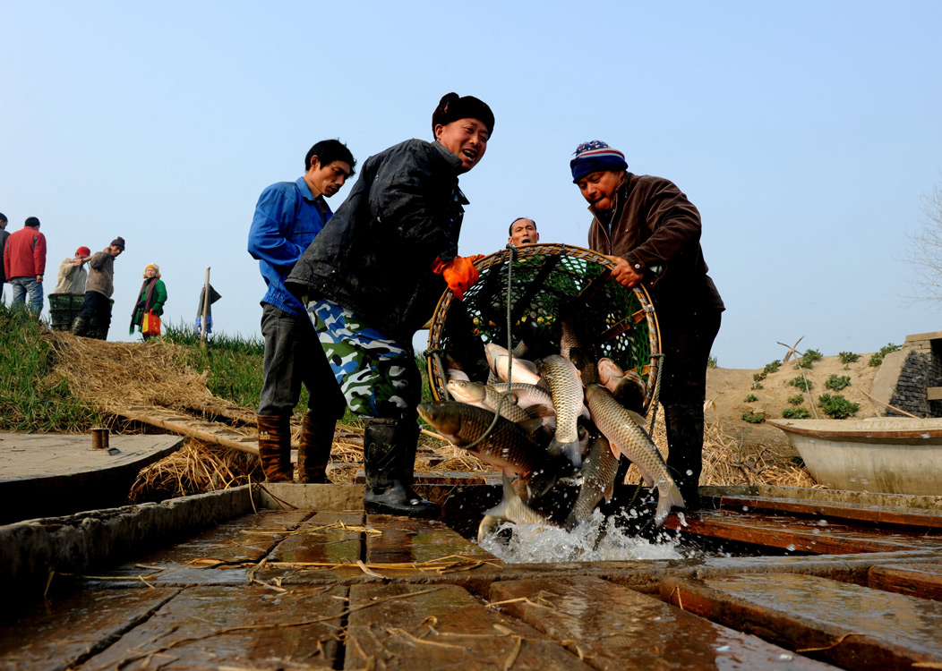 《水中鱼虾肥》黄书荣/摄