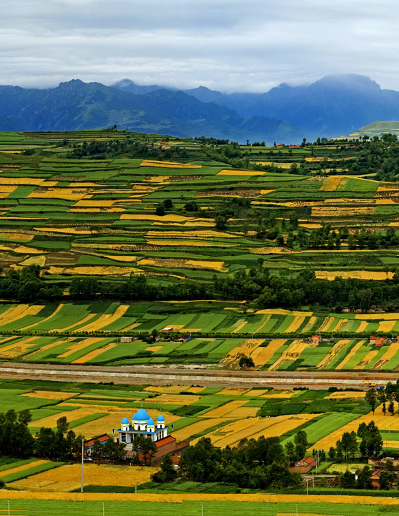《希望的田野》 马学英/摄