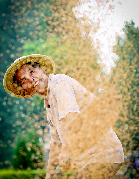 《舞动的麦收》 王昊宇/摄