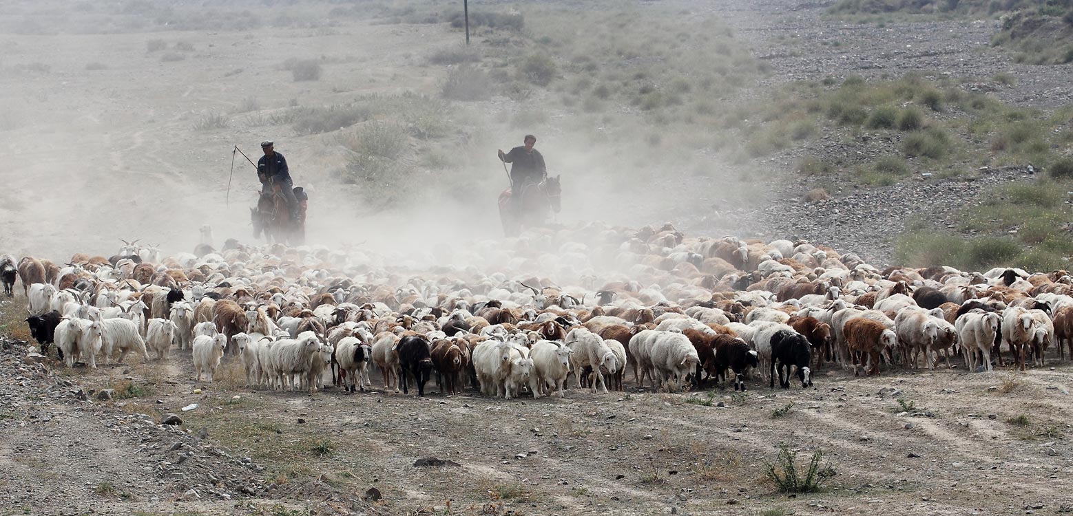 《西部风情》 王圳/摄
