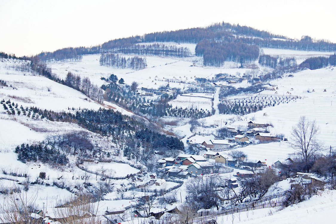 《水墨松岭》 薛振刚/摄