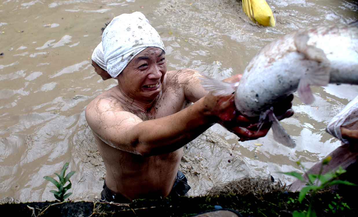 《鱼丰收》 黄善明/摄