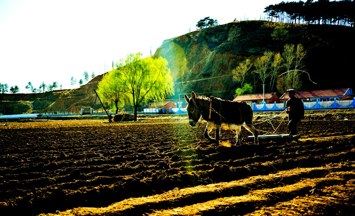 《播种希望》 范永辉/摄