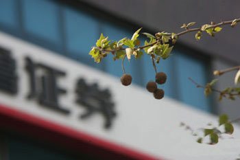 券商高管成“高危行业”