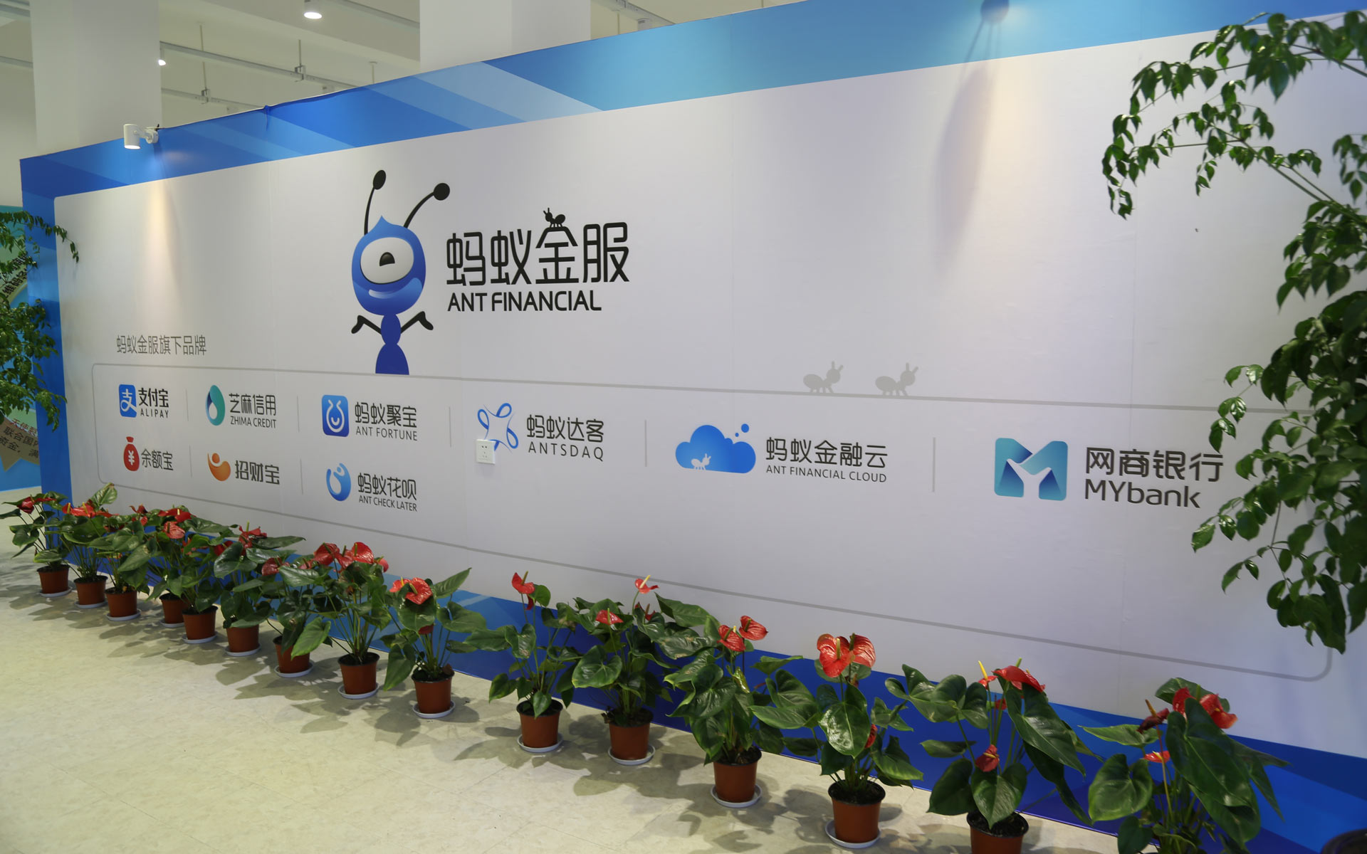 蚂蚁金服积极行动