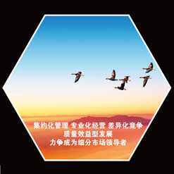 专属代理门店推广